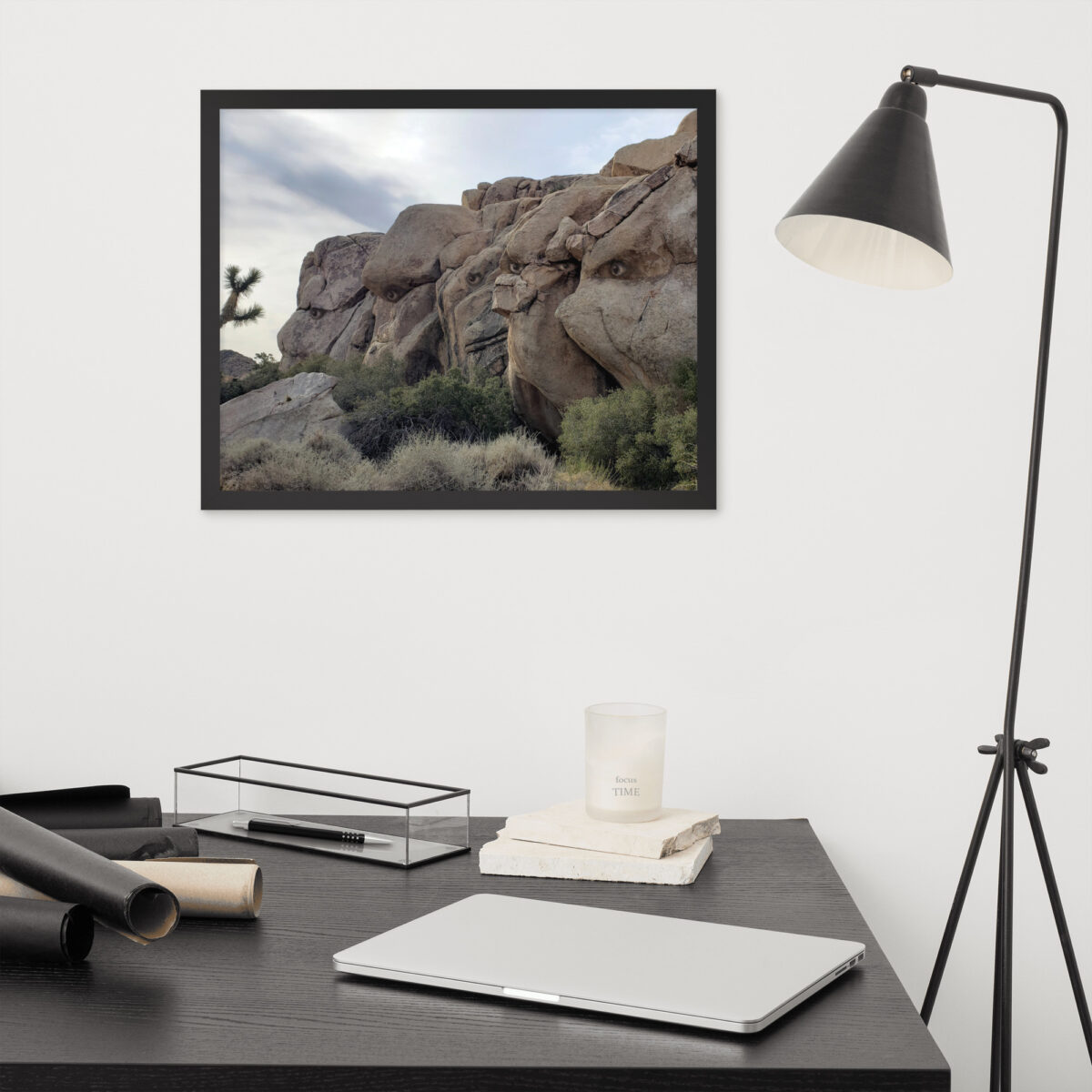 Desert Trolls enhanced matte paper framed poster (in) black 16x20 front 68b7778c24e6e