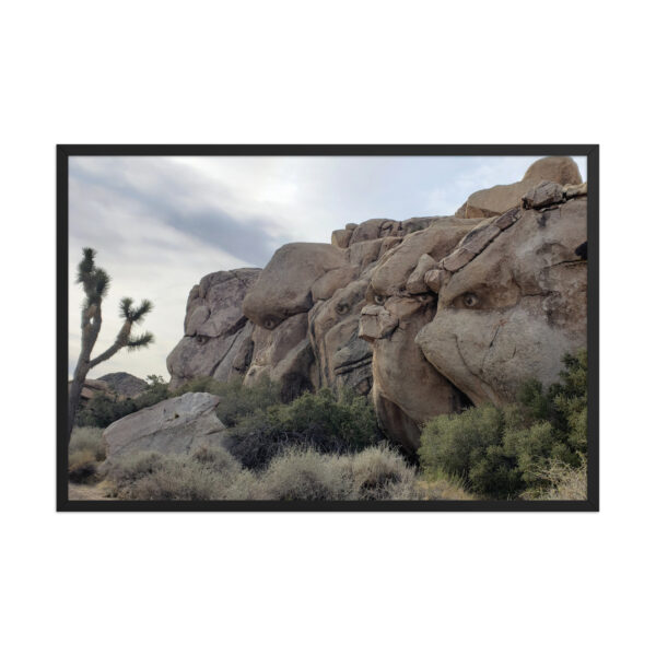 Desert Trolls enhanced matte paper framed poster (in) black 24x36 front 68b7778c25355